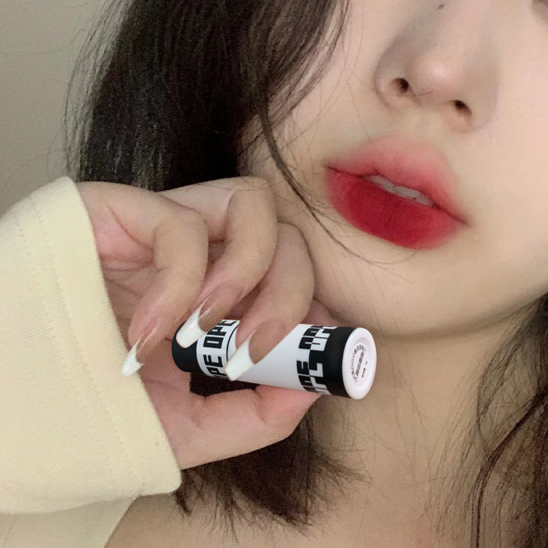 Matte Velvet Lip Gloss Waterpr - Matte Velvet Lip Tint Long Lasting 评论和价格