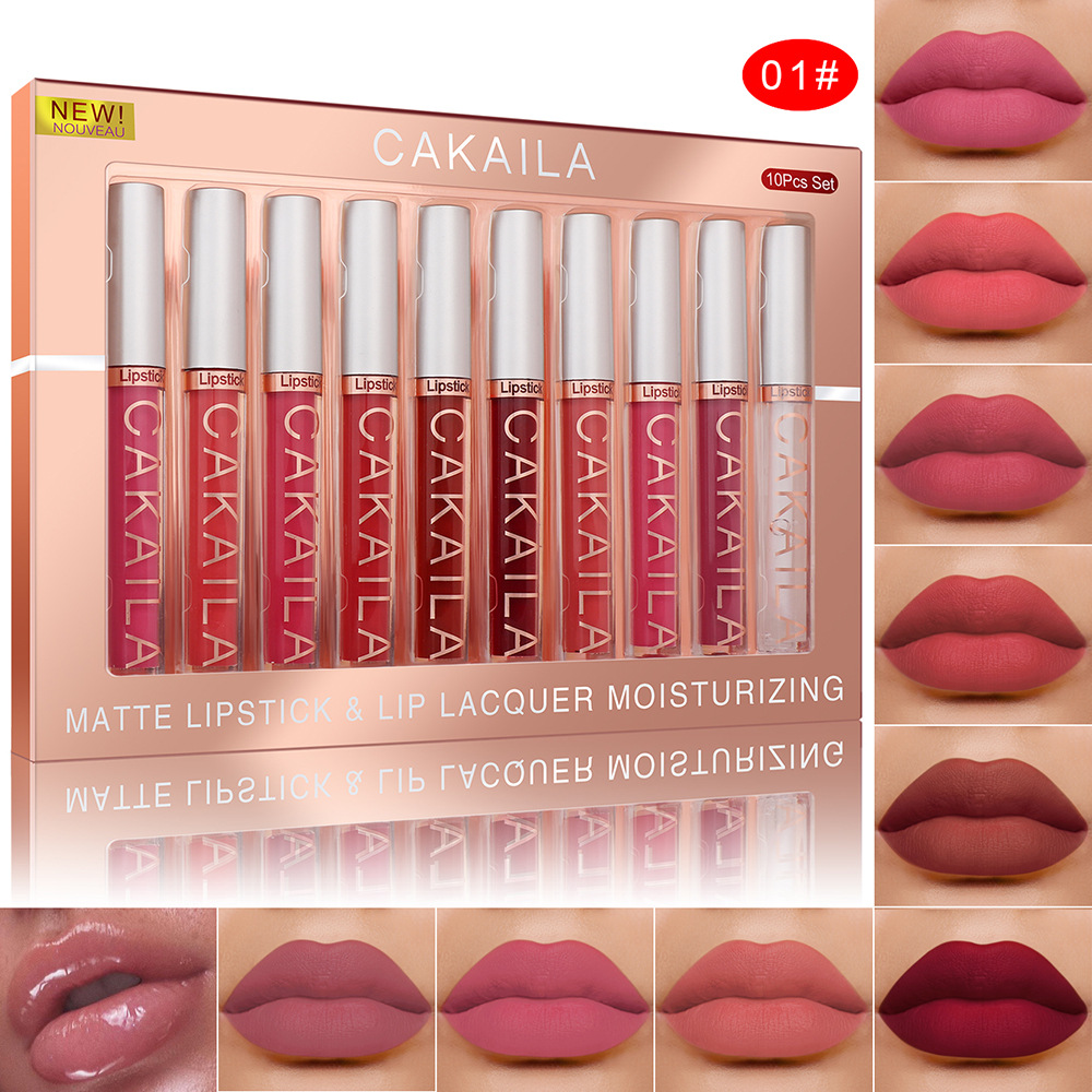 4pcs/10pcs/set Nude Lip Gloss  - Matte Velvet Lip Tint Long Lasting 评论和价格